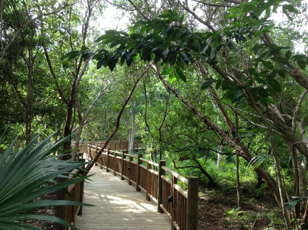 Mayan Palace Vidanta Resort Riviera Maya Puerto Morelos Esterno foto